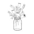 Doodle cute aquilegias, viburnum, popover fruits in jar. Monochrome sketch beautiful decorative plant